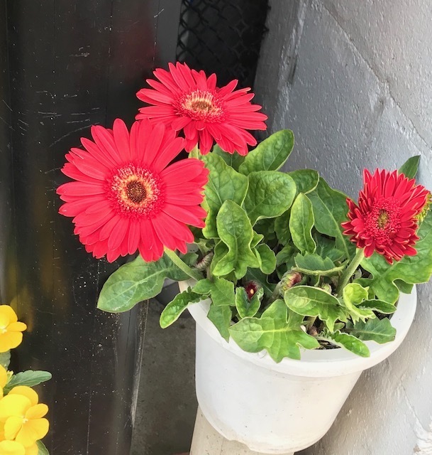 image1.jpeg
